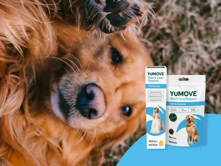 Healthy Joints, Happy Tails