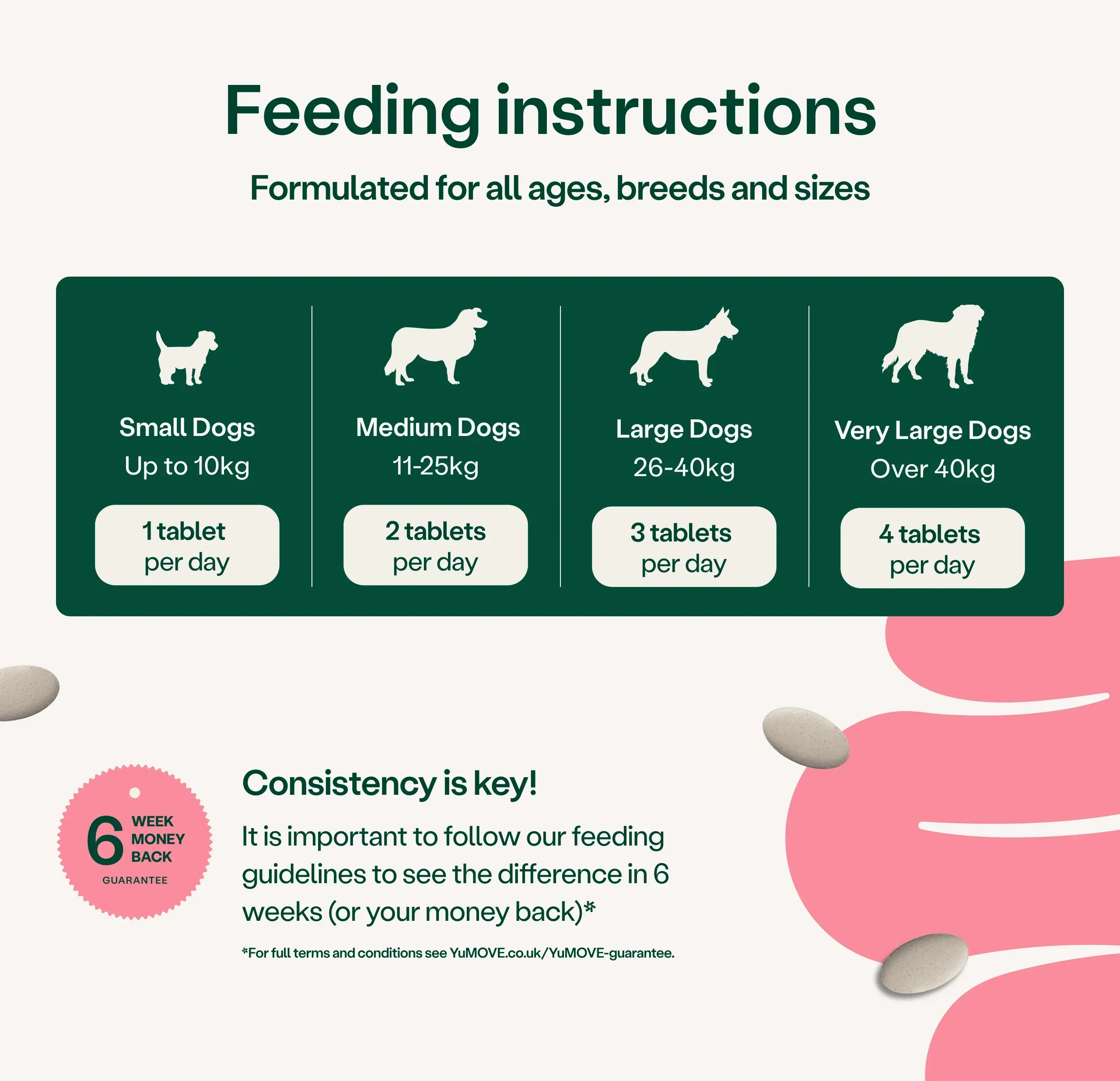 Digestive Support Pre & Probiotic for Dogs - Image 3