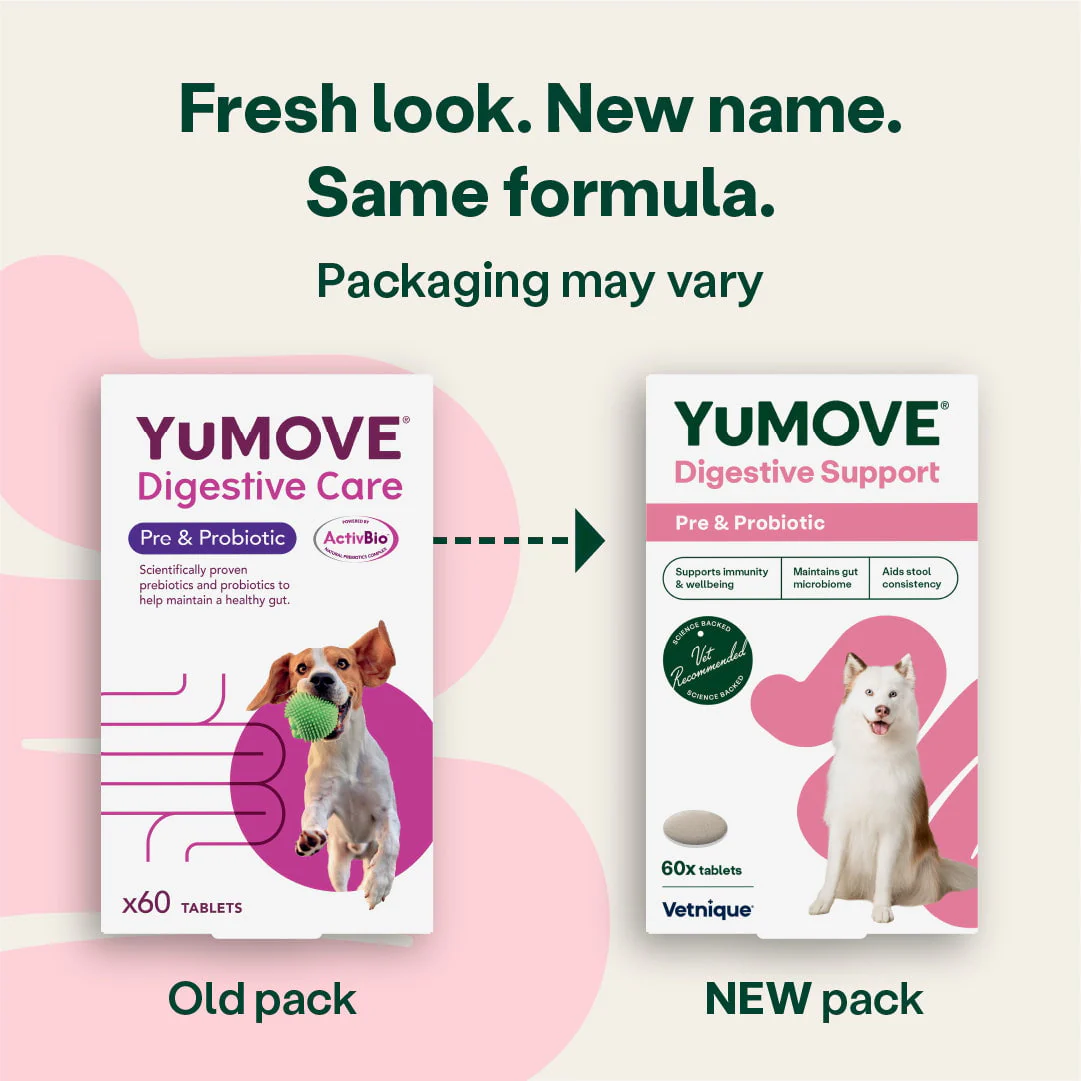 Digestive Support Pre & Probiotic for Dogs - Image 4