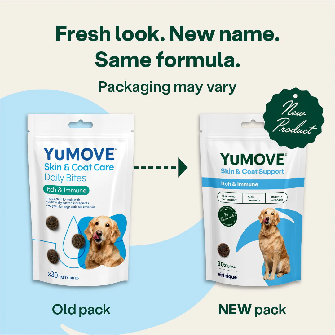 Skin & Coat Support Itch & Immune for Dogs - Image 3