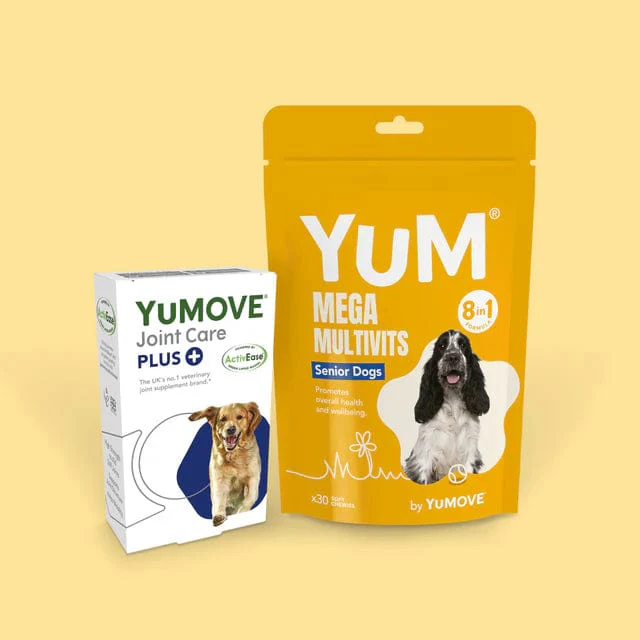 Senior Dog Bundle Lite (Medium) - Image 4