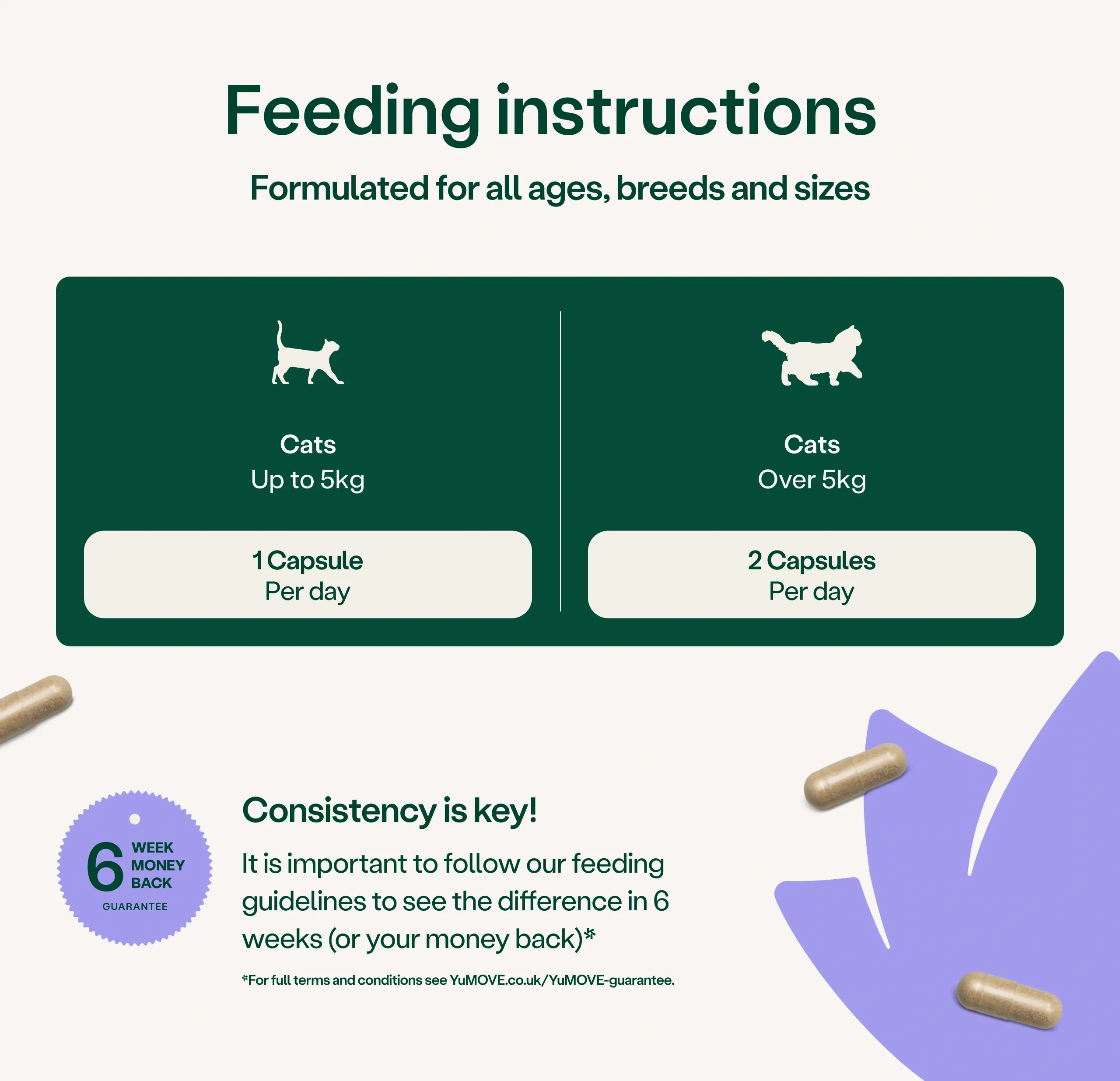 Calming Support for Cats - Image 3
