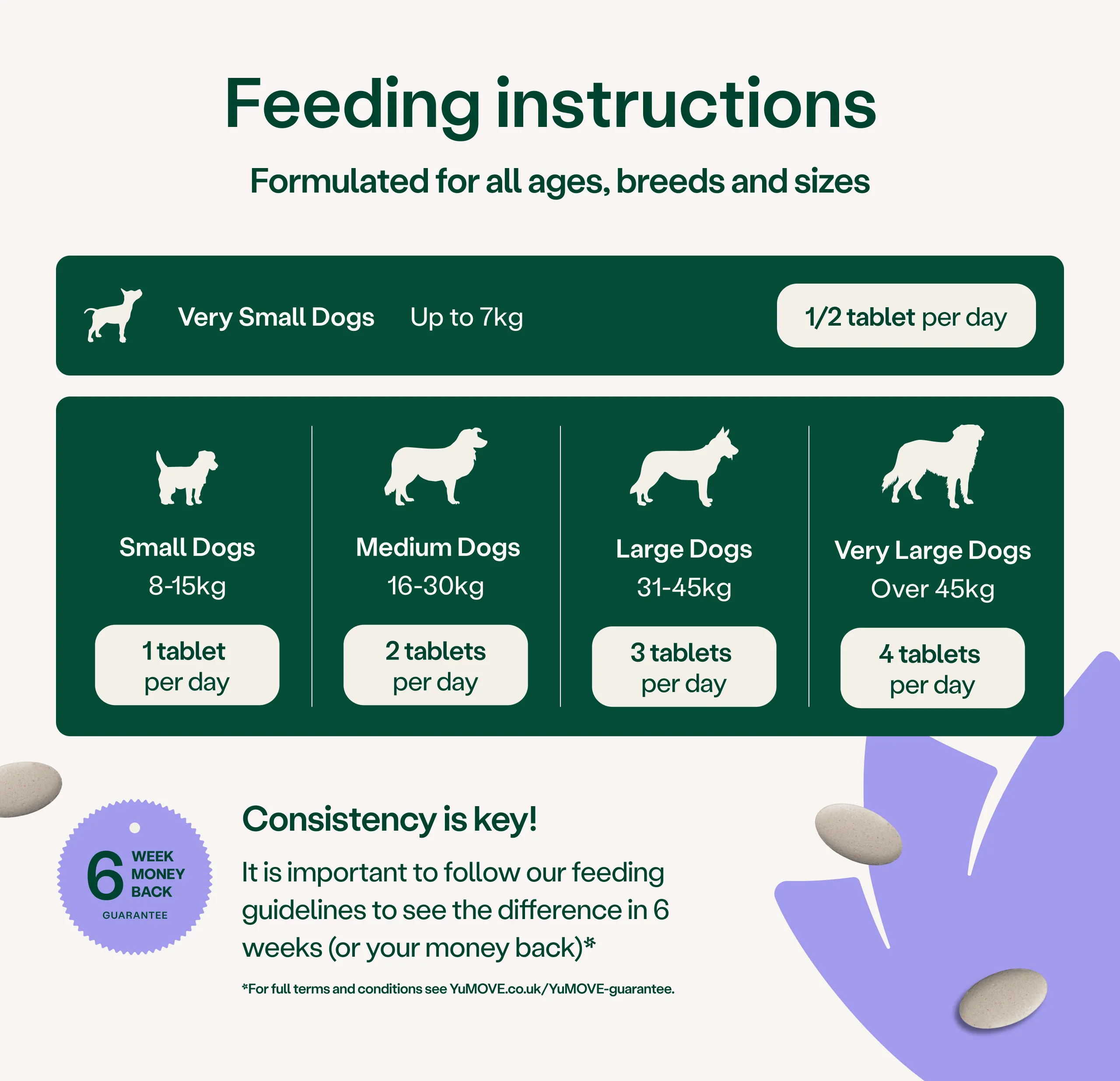 Calming Support for Dogs - Image 3