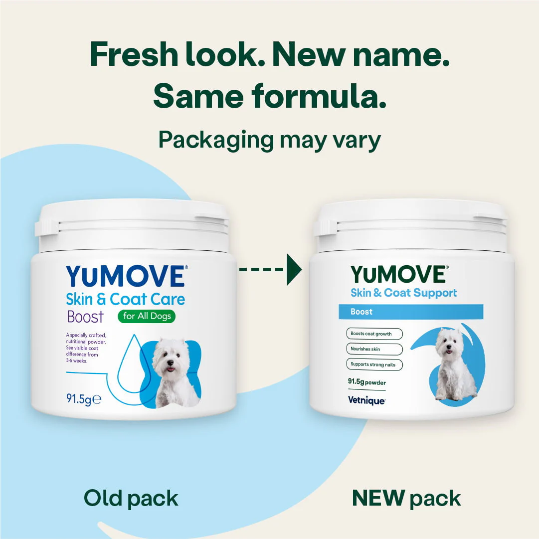 Skin & Coat Support Boost for Dogs - Image 3