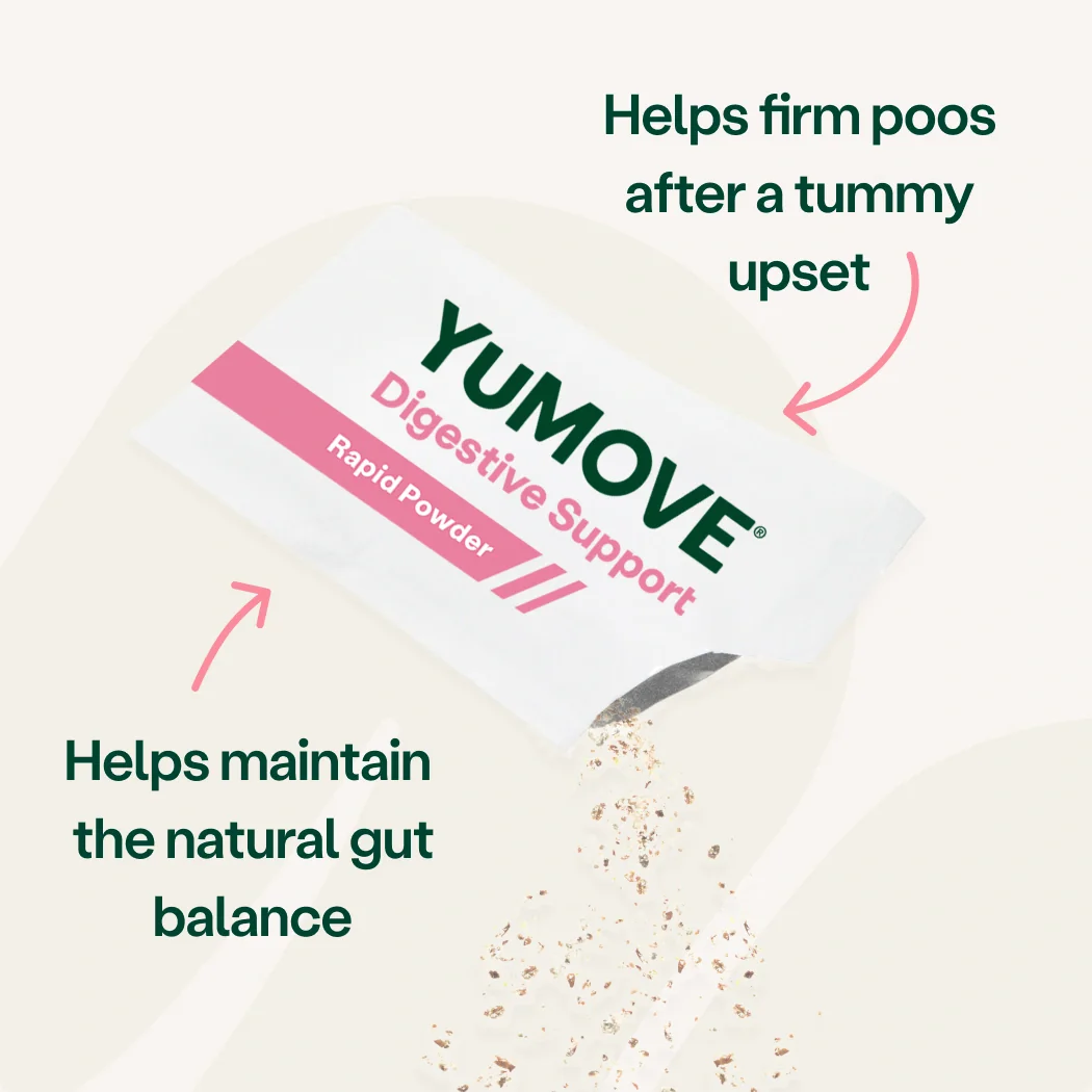 Digestive Support Rapid Powder for Dogs & Cats - Image 3