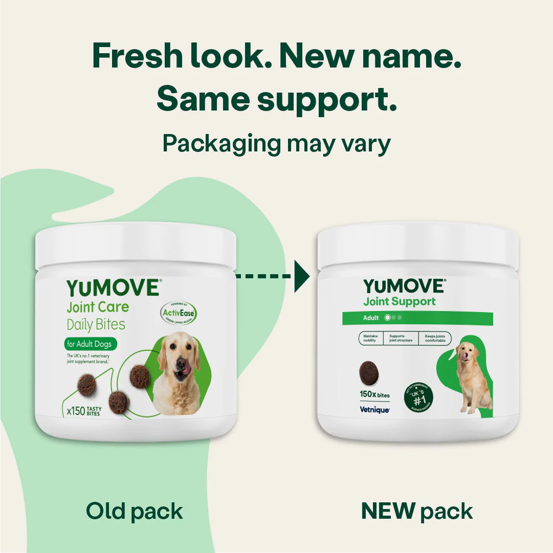Joint Support Daily Bites for Adult Dogs - Image 4