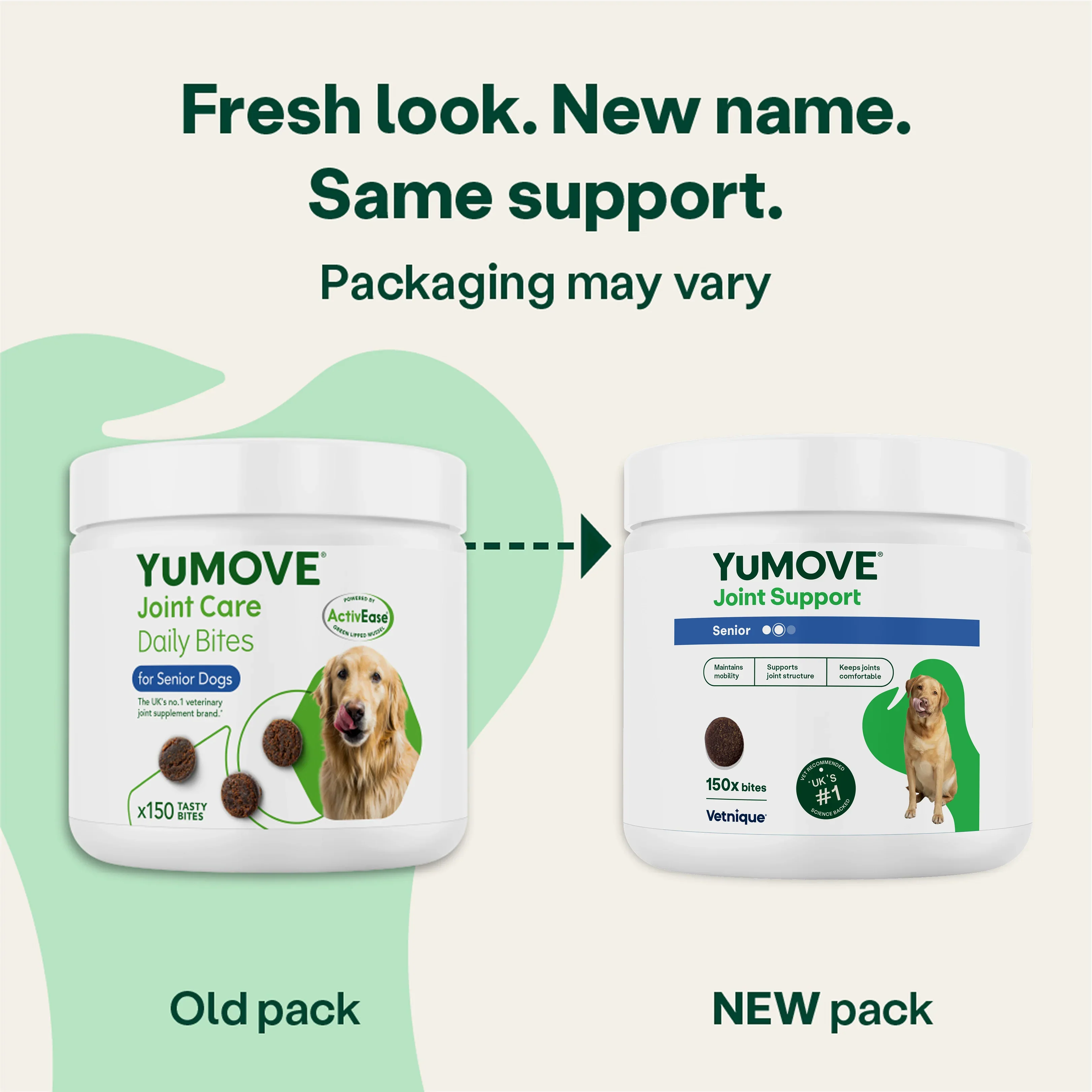 Joint Support Daily Bites for Senior Dogs - Image 4