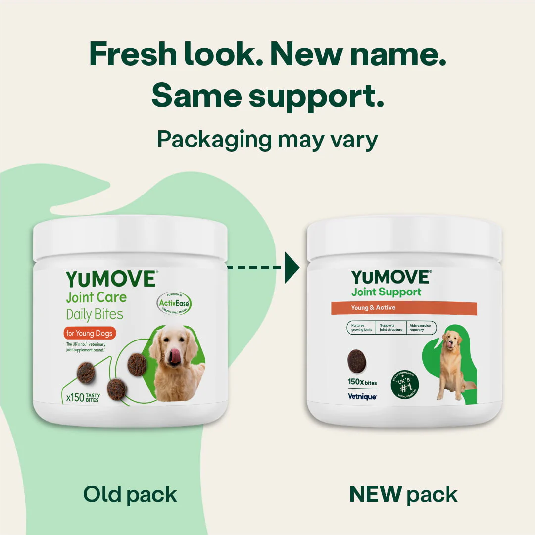 Joint Support Bites for Young & Active Dogs - Image 4