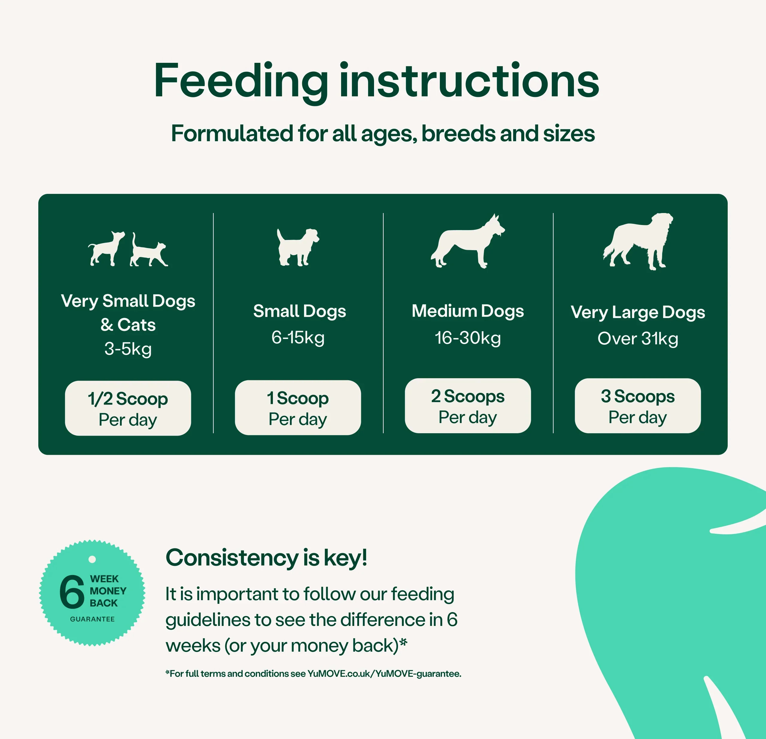 Dental Support Dental Powder for Dogs & Cats - Image 4