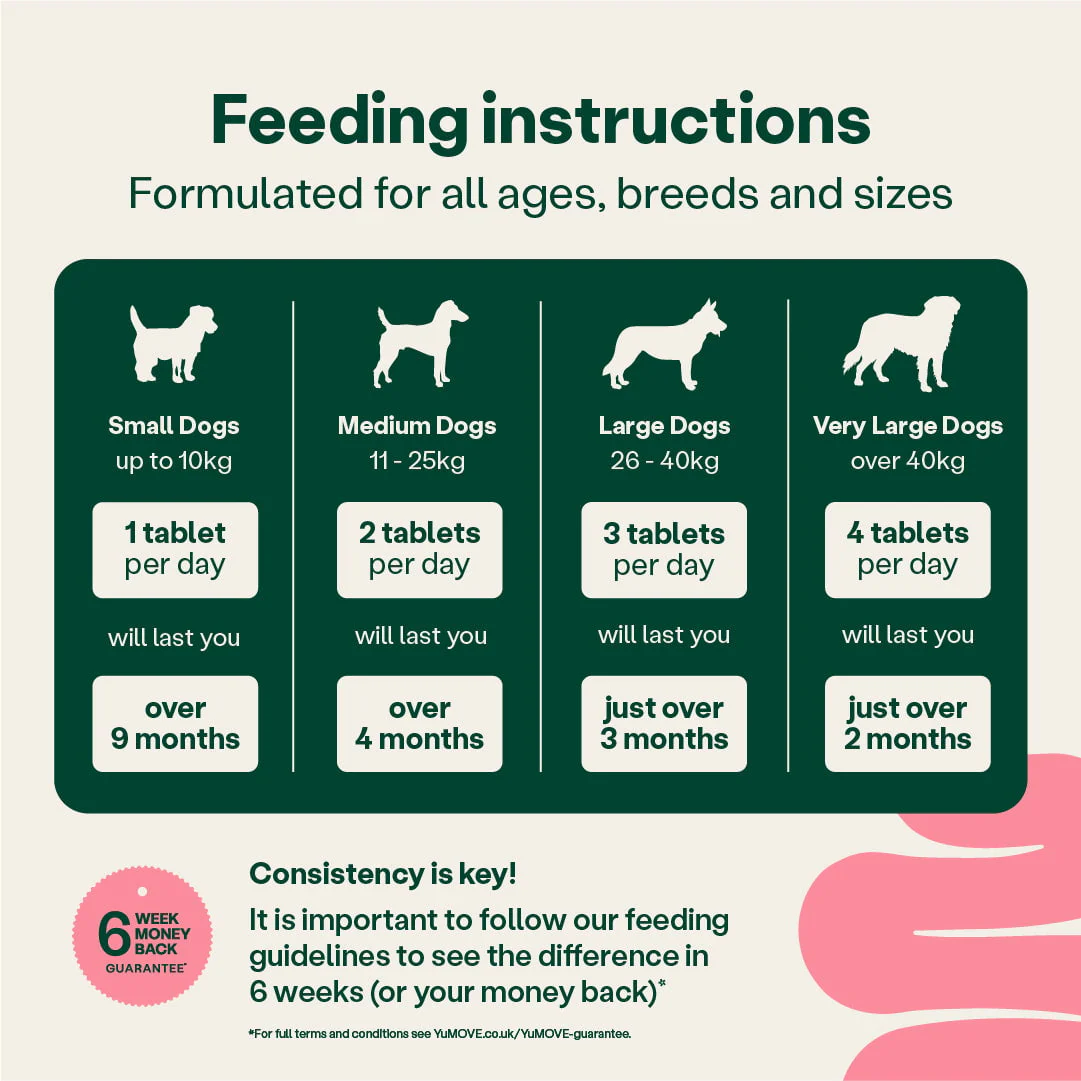 Digestive Support Pre & Probiotic for Dogs (Bulk) - Image 3