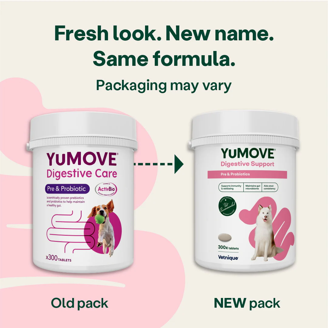 Digestive Support Pre & Probiotic for Dogs (Bulk) - Image 4