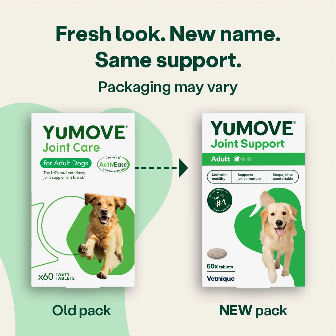 Joint Support for Adult Dogs - Image 4