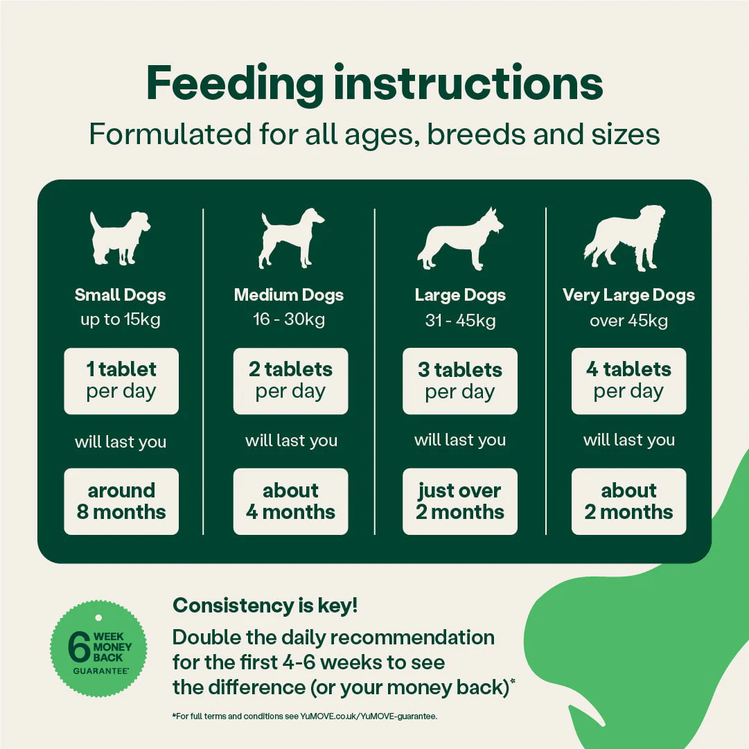 Joint Support for Young & Active Dogs (Bulk) - Image 3