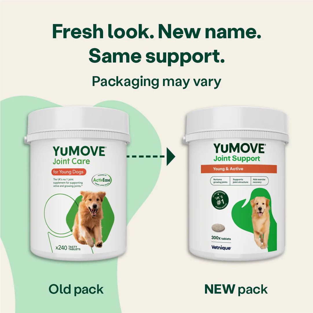 Joint Support for Young & Active Dogs (Bulk) - Image 4