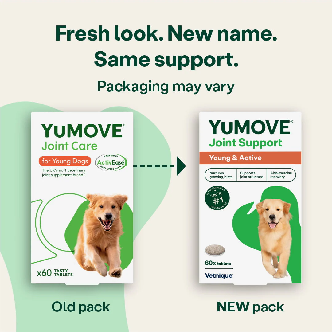 Joint Support for Young & Active Dogs - Image 4