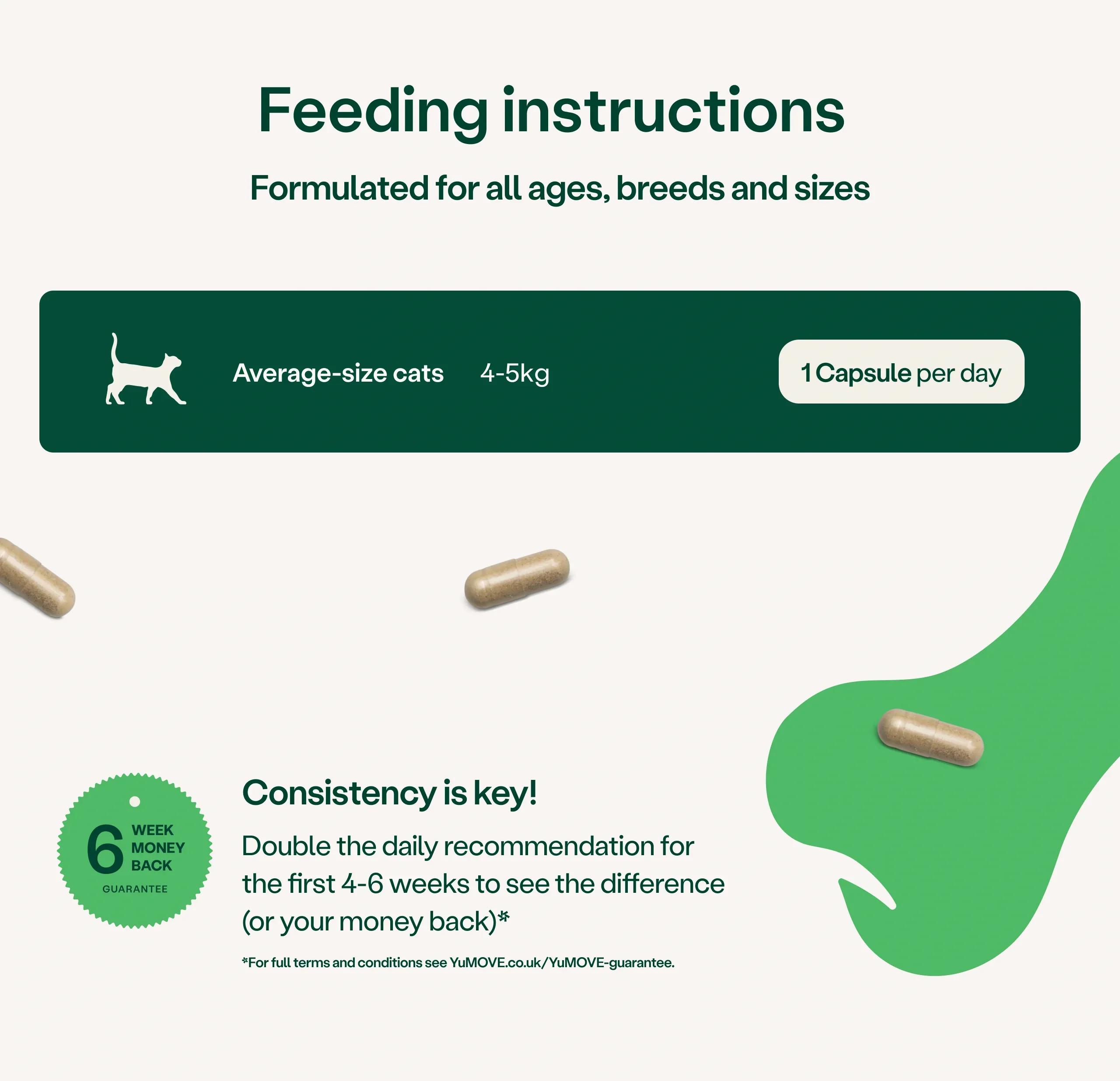 Joint Support for Adult Cats - Image 3