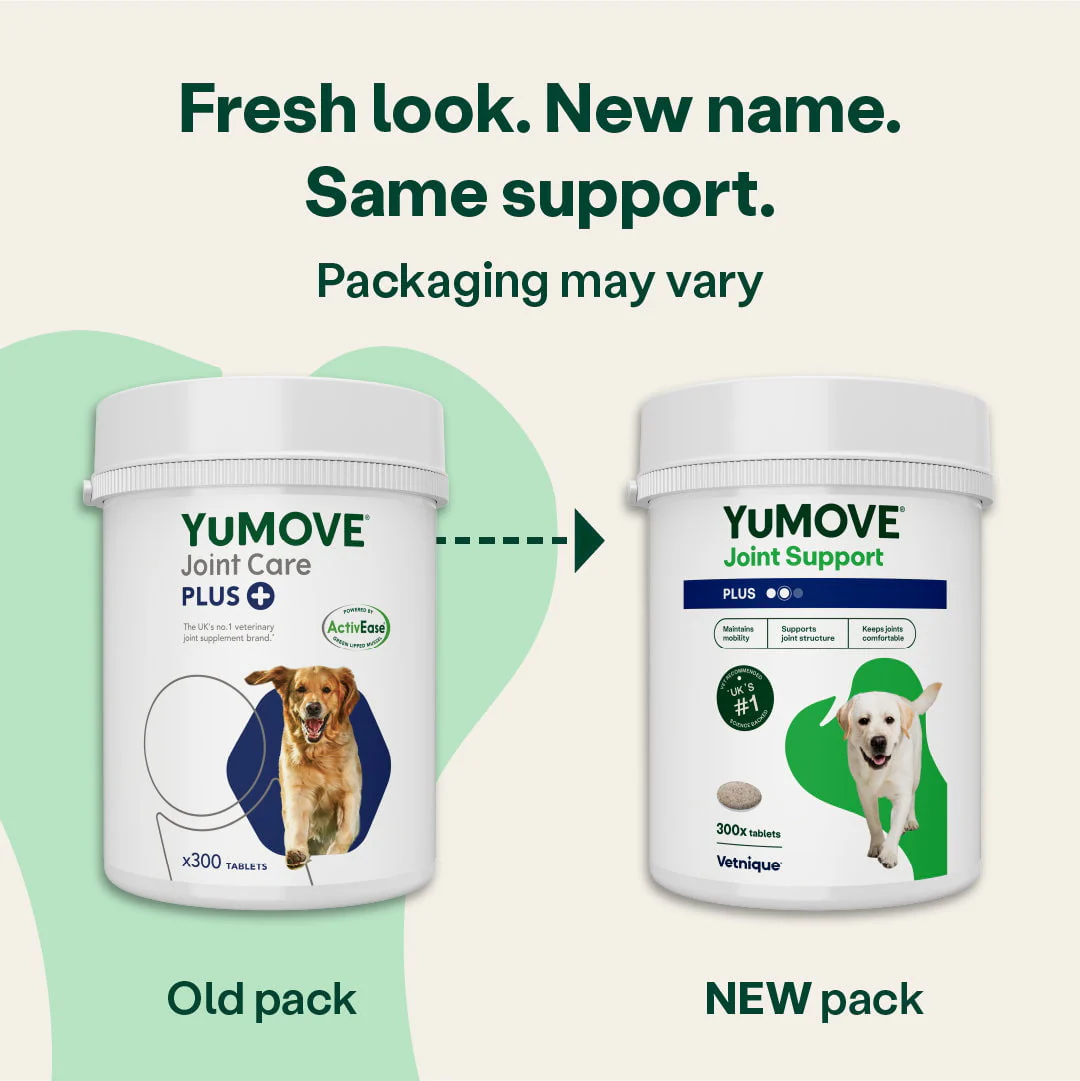 Joint Support PLUS (Bulk) - Image 4