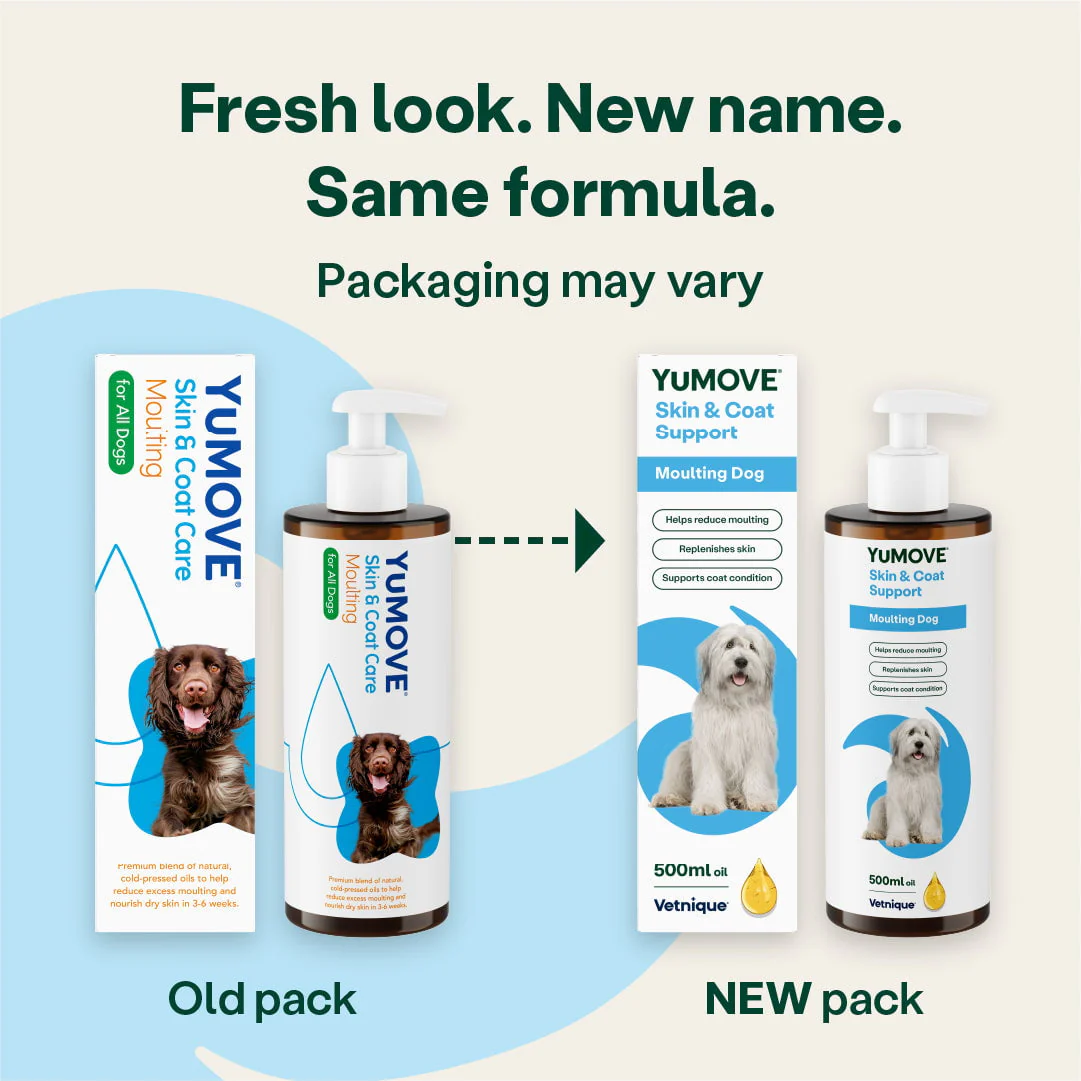 Skin & Coat Support Moulting Dog - Image 3
